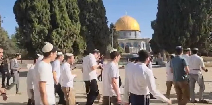 مئات المستعمرين يقتحمون الأقصى والاحتلال يشدد إجراءاته العسكرية في محيطه