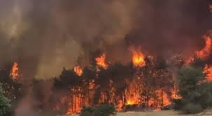 "إسرائيل" تُعلن السيطرة على الحرائق في جبال القدس