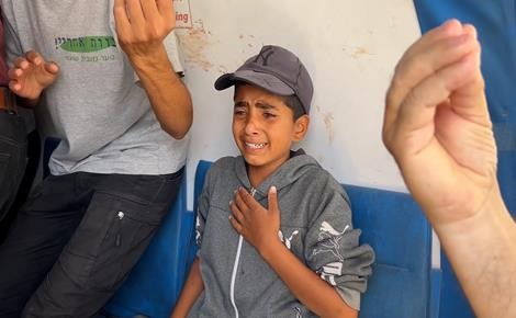 29 سيناتورا بمجلس الشيوخ الأميركي يطالبون ترمب بالضغط على الاحتلال لإنهاء حصار غزة فورا