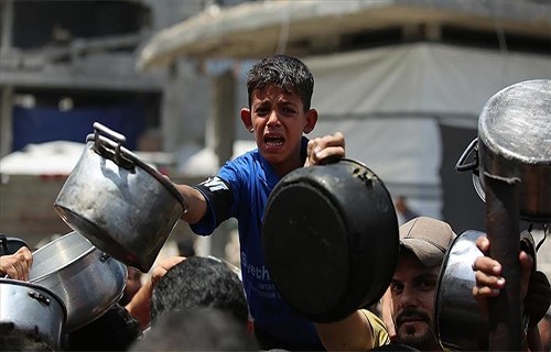 مقرر أممي: التجويع الإسرائيلي لغزة في أسوأ مراحله وآثاره ستستمر لأجيال