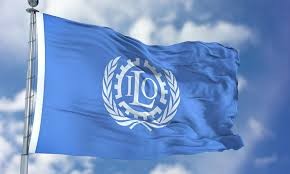 "الخارجية" ترحب برفع عضوية فلسطين إلى "دولة مراقب" في منظمة العمل الدولية