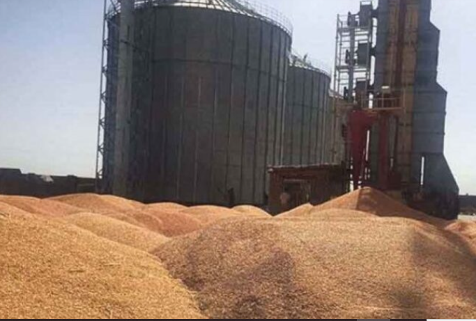 الحكومة تتسلم من نظيرتها الروسية منحة 30 ألف طن قمح لأبناء شعبنا في غزة