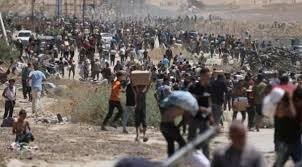 معاريف: الجيش الإسرائيلي يخشى من كسر "حاجز الخوف" في غزة