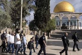 مستعمرون يقتحمون المسجد الأقصى الثلاثاء 15/7/2025