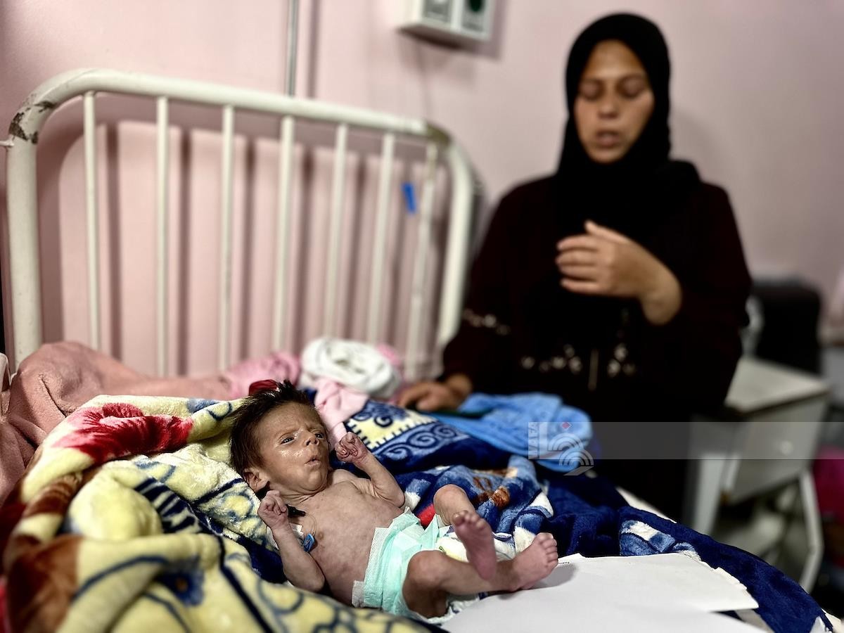 تضاعف 3 مرات خلال الأسابيع الماضية