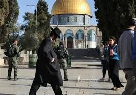 مستعمرون يقتحمون المسجد الأقصى