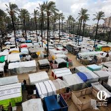 بلدية دير البلح: لا توجد بقعة واحدة على استيعاب أي خيمة نزوح جديدة