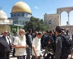 مستعمرون يقتحمون الأقصى اليوم الاحد 17/8/2025