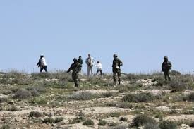 مستعمرون يهاجمون تجمعا بدويا في مخماس شمال القدس