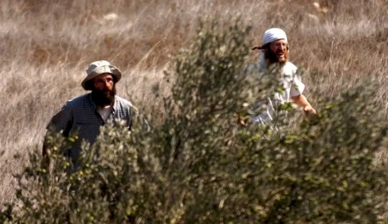 الجامعة العربية تدين اعتداءات المستعمرين خلال موسم قطف الزيتون