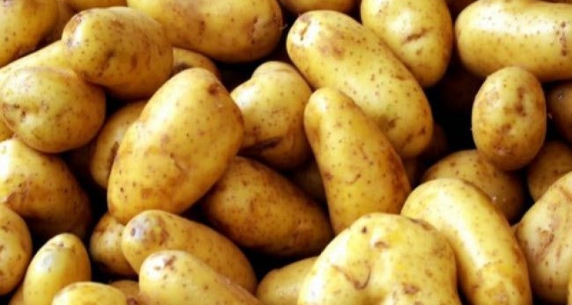 لا تضعوا البطاطا في الثلاجة بتاتا، وإليكم السبب!