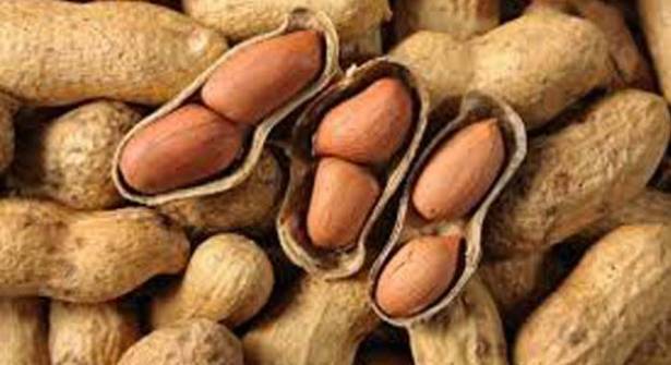 هل يستطيع مريض السكري أكل الفول السوداني؟