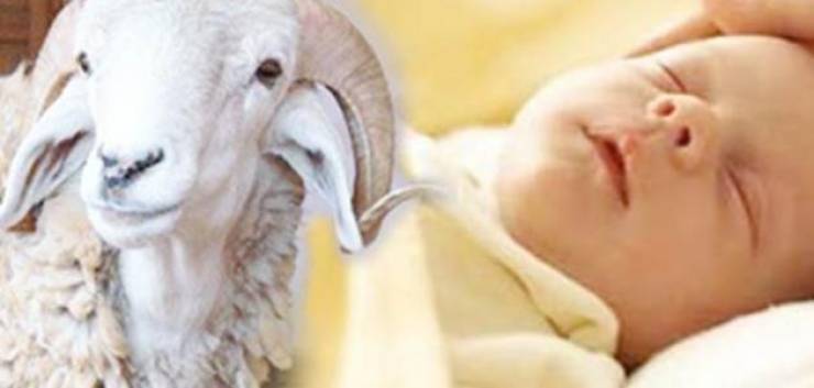 ما هي شروط العقيقة في الإسلام ؟