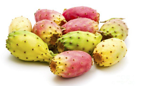 فيديو: فوائد الصبر المذهلة!