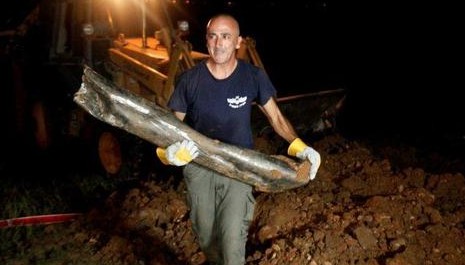 سقوط قذيفتي هاون في النقب أُطلقتا من قطاع غزة دون إصابات