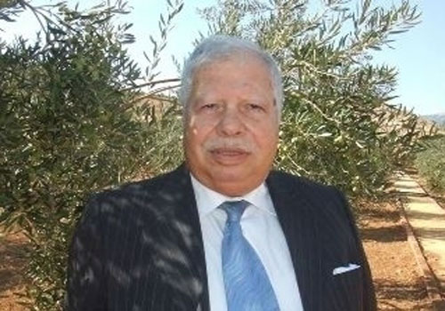 القاهرة وحماس والصلح ...قاب قوسين أو أدنى .