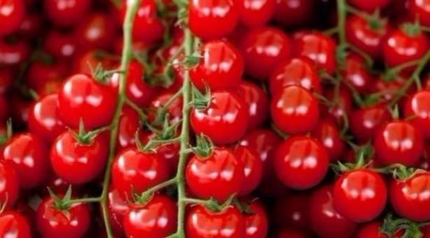 ما سر نكهة الطماطم اللذيذة؟