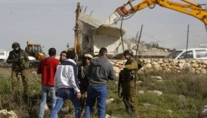 الاحتلال يجرف بركسات للسكن ولتربية الأغنام بالأغوار