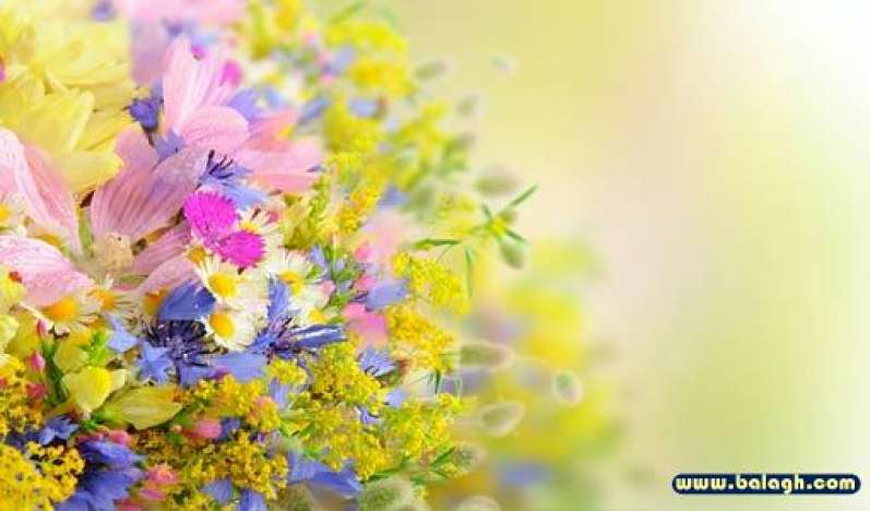 الأخلاق.. مقياس الاستقامة