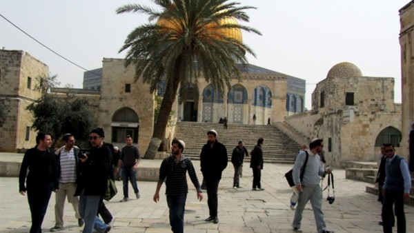 مستوطنون يجددون اقتحامهم للأقصى من باب المغاربة