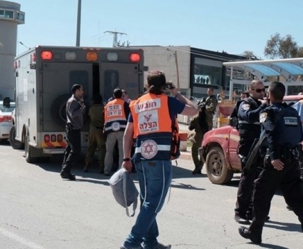 الاحتلال يعتقل 2441 فلسطينيًا منذ بداية الانتفاضة