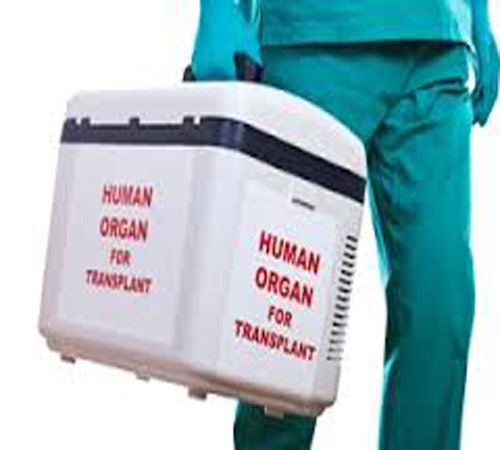 تركيا تلقى القبض على شبكة اسرائيلية تتاجر بأعضاء مسروقة