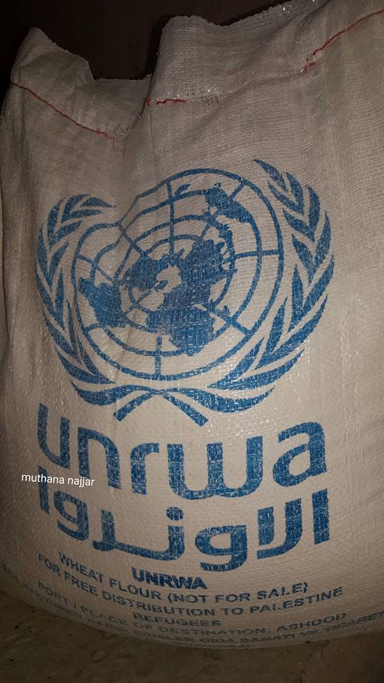 بالصور: نشطاء ينشرون صوراً لحشرات داخل أكياس الدقيق الموزعة من وكالة الغوث