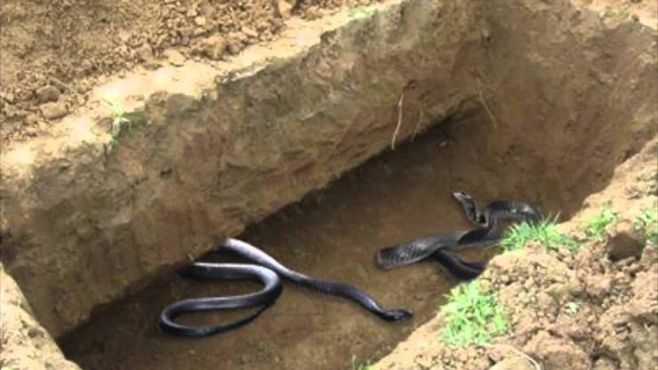 هام جدا : هذه هي المنجيات الـ17 من عذاب القبر!