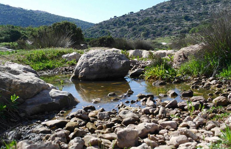 وزراء البيئة العرب يطالبون بحماية البيئة في فلسطين