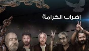 أبرز أحداث اليوم الحادي عشر من إضراب الأسرى "الحرية والكرامة"