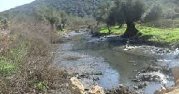 بيت لحم: مستوطنون يضخون المياه العادمة على أراضي المواطنين
