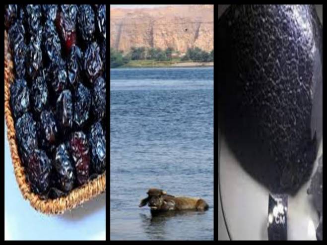 بالفيديو : 5 أشياء موجودة في الدنيا وهي أصلها من الجنة منها واحدة فى مصر