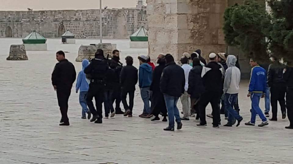 مستوطنون يجددون اقتحاماتهم الاستفزازية لباحات المسجد الأقصى