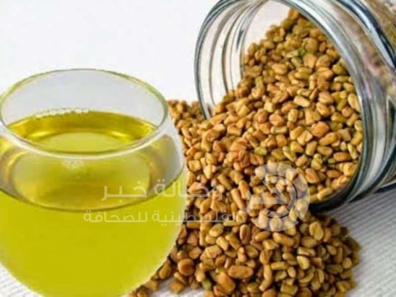 الحلبة لصحة كالـ"حديد"!