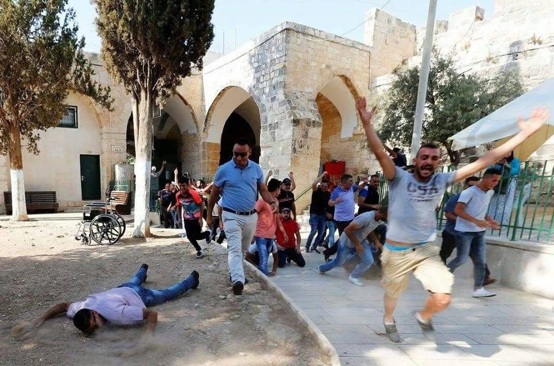 الاحتلال يقتحم الأقصى ويعتدي على المرابطين لحظة دخولهم 