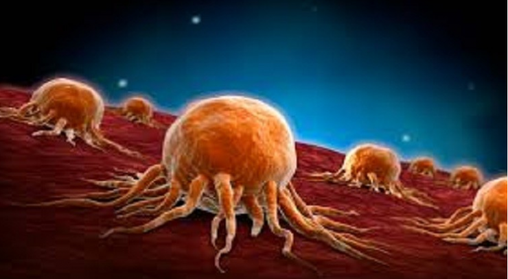 اكتشاف علاج لمرض السرطان من هذا المعدن الصعب!