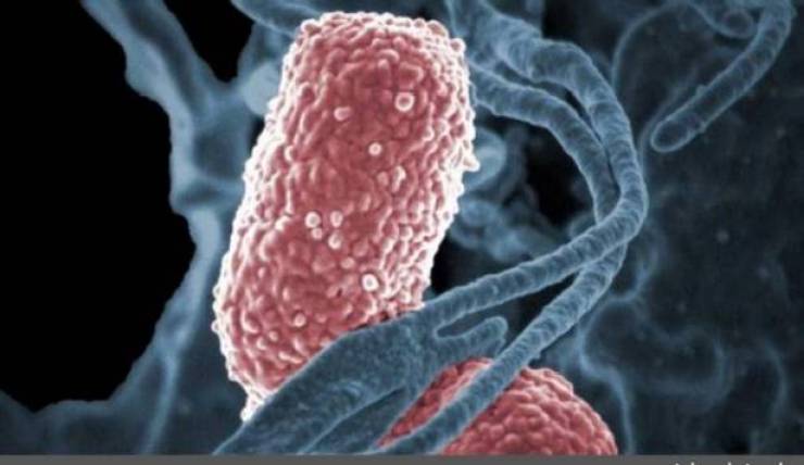 تحذير دولي : "خطر قاتل" يفوق السرطان!