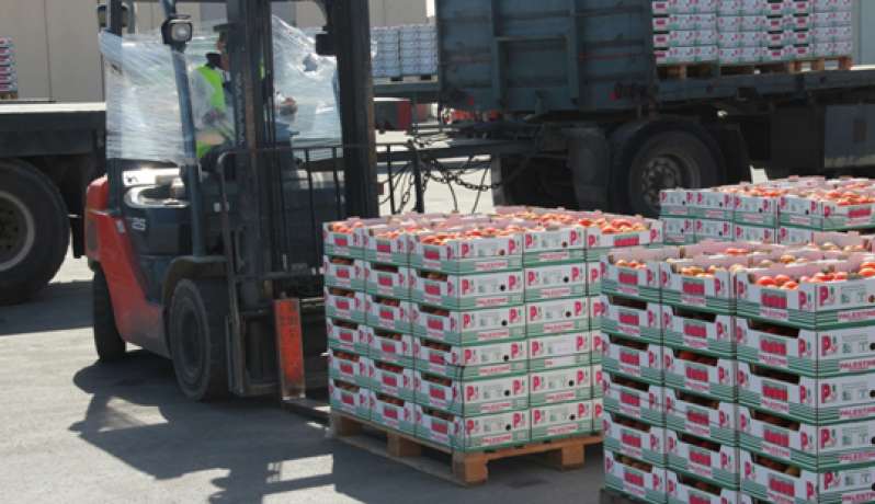 مدير عام ضريبة الدخل ينفي للعالم عبر "وكالة خبر" زيادة الضرائب ويوضح بأن المطلوب: "التحصيل شهرياً بدل سنوياً"