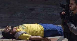 "الخارجية الأردنية" تشكك رواية الاحتلال وتدين جريمة قتل  الشهيد  العمرو بالقدس