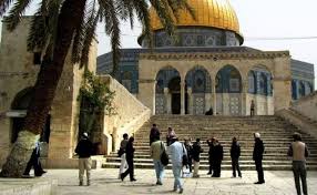 منظمات "الهيكل المزعوم" تُقيم تدريبات على ذبح قرابين " الفصح العبري"