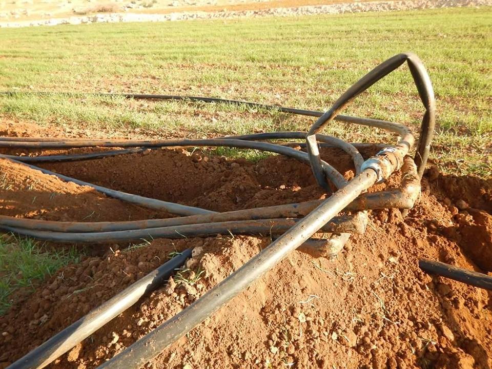 وسط حراسة جيش الاحتلال