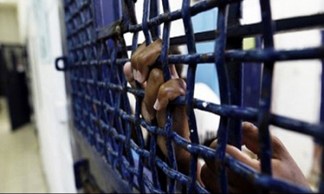 مركز فلسطين: محاكم الاحتلال أصدرت 580 قرارًا إداريًا منذ بداية العام