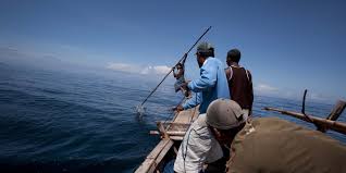 تونس تفرج عن 14 صيادًا من برج مغيزل بكفر الشيخ