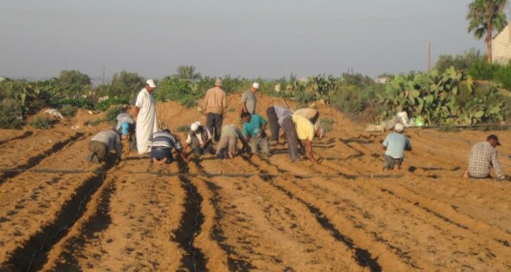 صورة: شهيد وإصابة جراء قصف مدفعي إسرائيلي شرق خانيونس