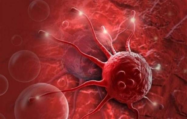 بشرى لمرضى السرطان.. ابتكار مسكن قوي له نفس كفاءة المورفين.. ولا يسبب الإدمان أو السكتة القلبية