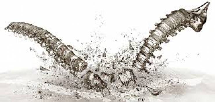 هشاشة العظام وكيفية الوقاية منها