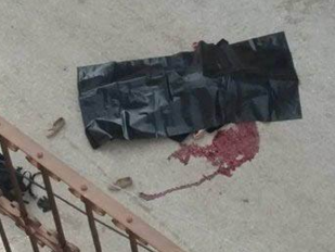 بالفيديو ..الإحتلال يعدم فتاة في الخليل بزعم محاولتها طعن جنديا