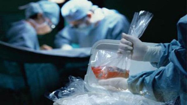 تفاصيل صادمة عن شبكة الاتجار بالأعضاء البشرية في مصر