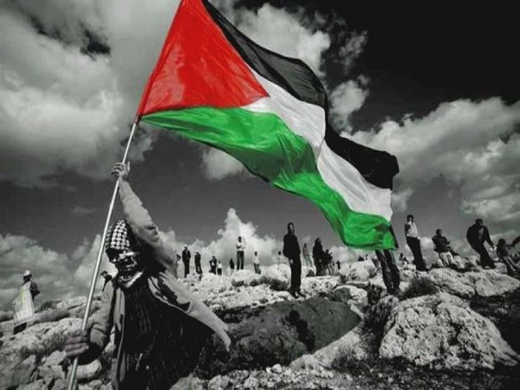 الخارجية المصرية تعلن عن اجتماع 8 دول في إيرلندا لمناقشة القضية الفلسطينية