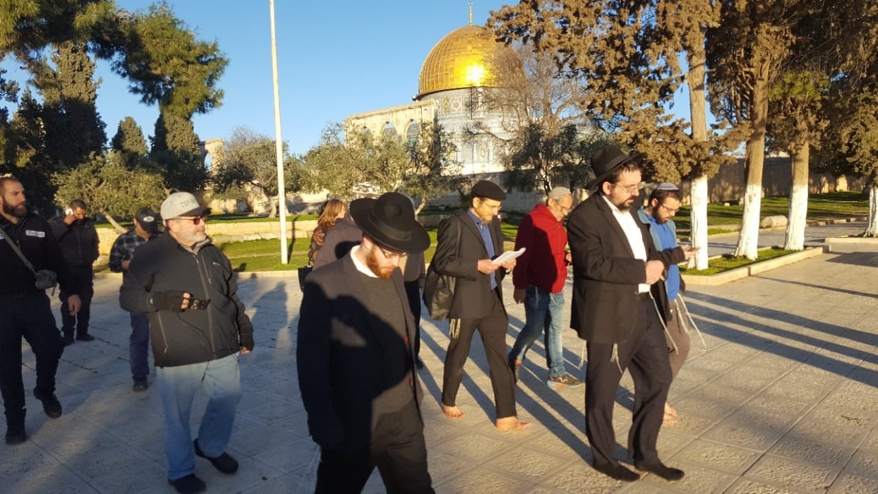 بالصور: 415 مستوطن اقتحموا باحات المسجد الأقصى هذا الأسبوع